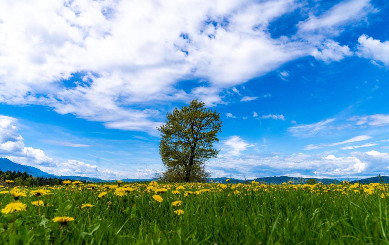 B&B Goesselsdorfer Seeblick Sittersdorf Dış mekan fotoğraf